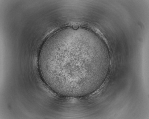 X0000112780249200909031634