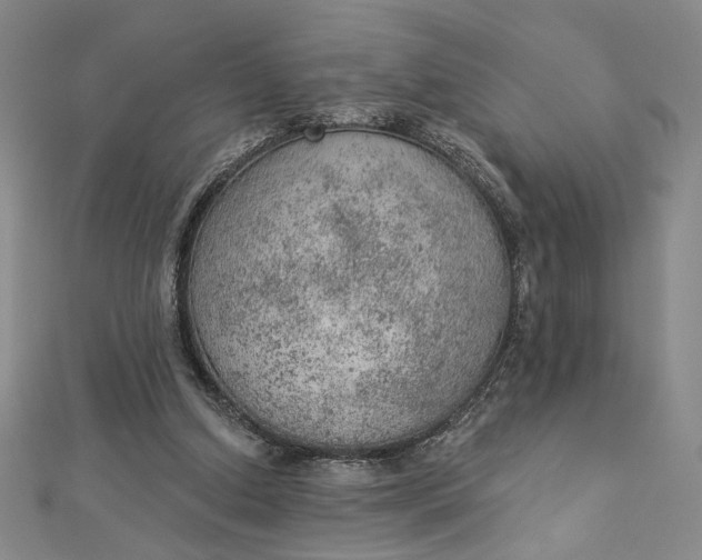 X0000112780250200909031634