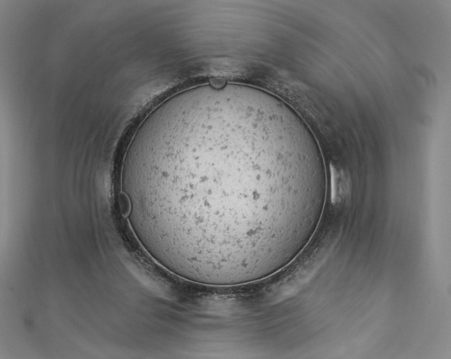 X0000112780252200909031634