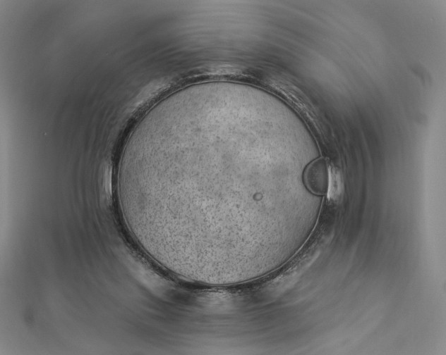 X0000112780253200909031634