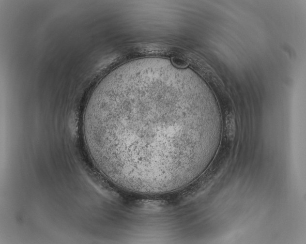 X0000112780255200909031634