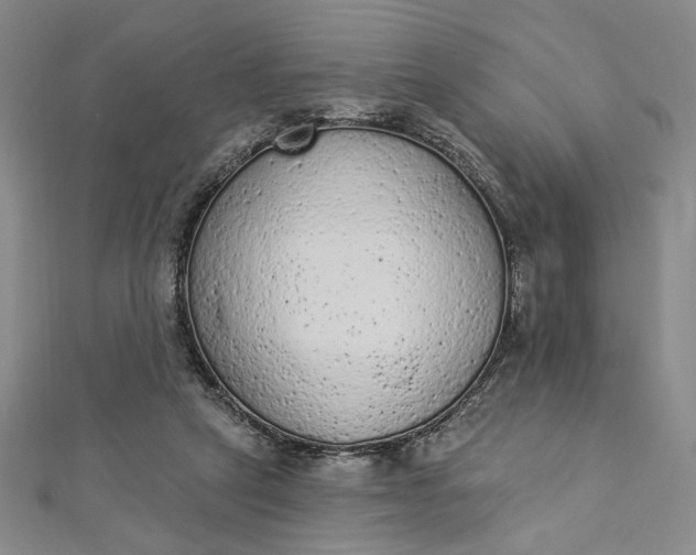 X0000112780257200909031634