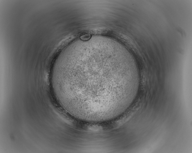 X0000112780258200909031634