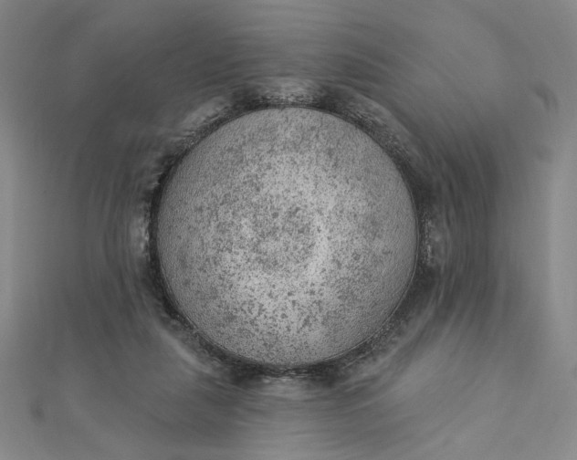 X0000112780259200909031634