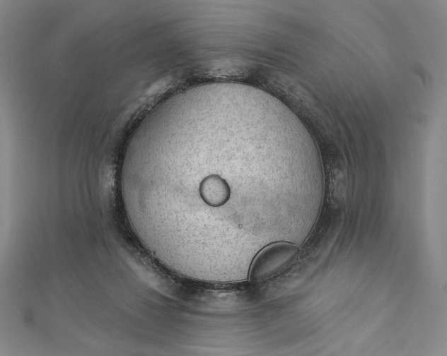 X0000112780260200909031634