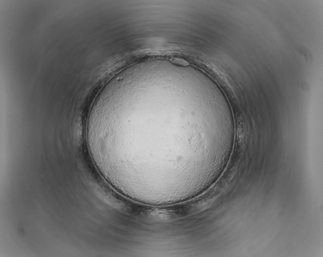 X0000112780261200909031634