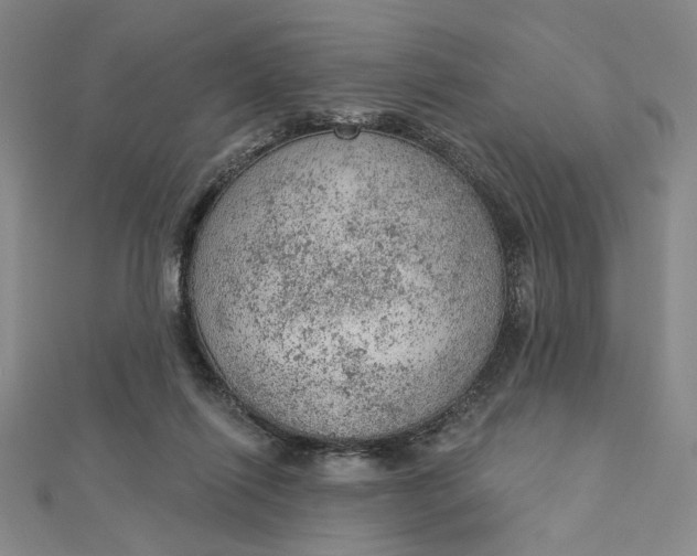 X0000112780262200909031634