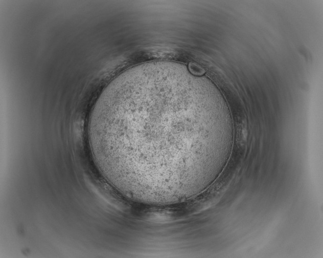 X0000112780263200909031634