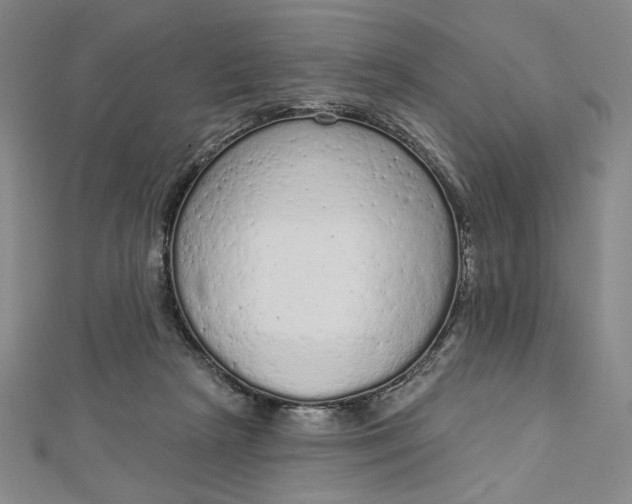 X0000112780265200909031634