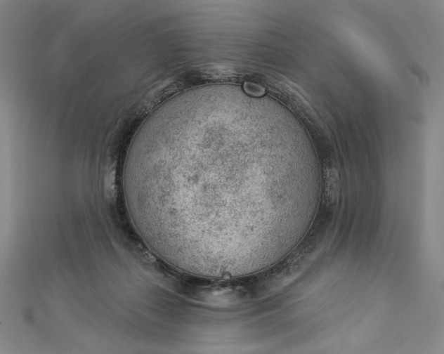 X0000112780267200909031634