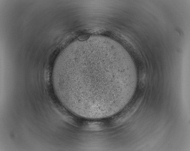 X0000112780268200909031634