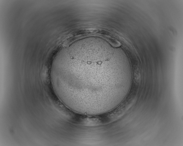 X0000112780270200909031634