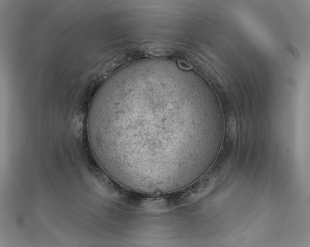 X0000112780271200909031634