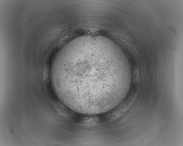 X0000112780274200909031634