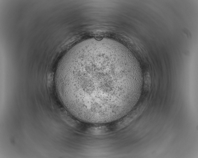 X0000112780278200909031634