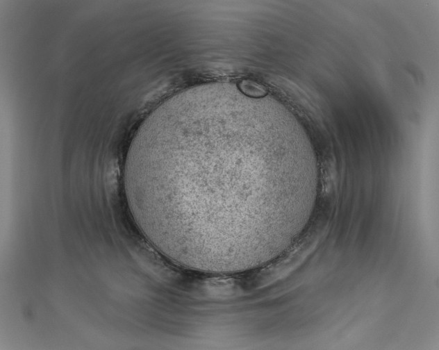 X0000112780279200909031634