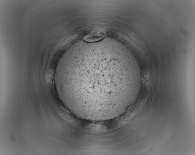 X0000112780280200909031634