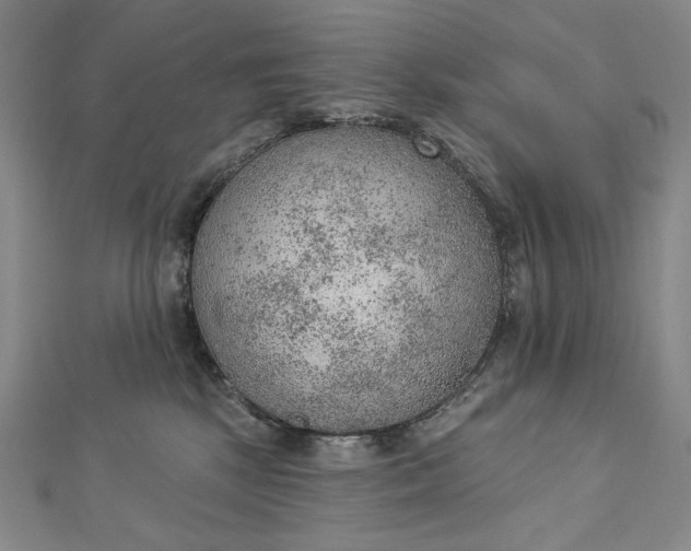 X0000112780281200909031634