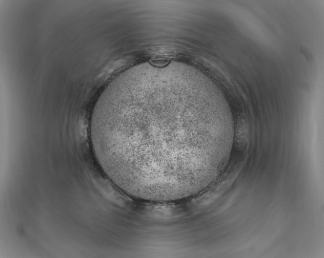 X0000112780282200909031634