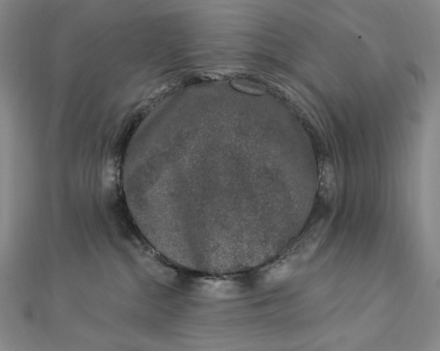 X0000112780284200909031634