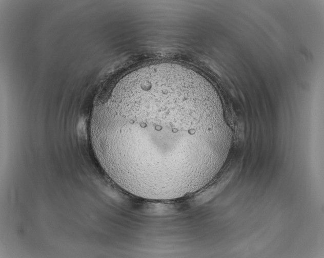 X0000112780286200909031634