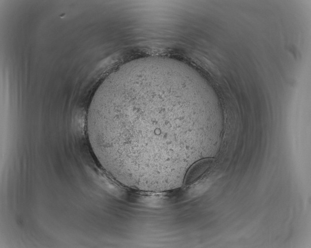 X0000112780288200909031634