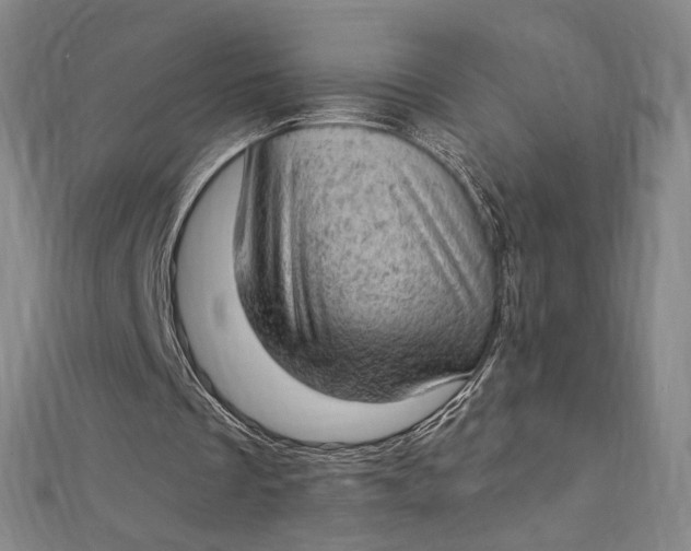 X0000112780289200909031634