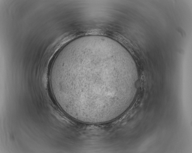 X0000112780290200909031634