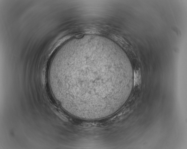 X0000112780291200909031634