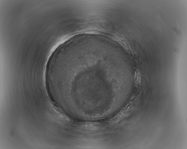 X0000112780292200909031634