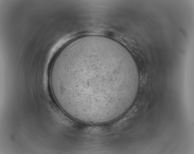 X0000112780294200909031634