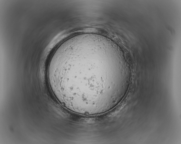 X0000112780295200909031634