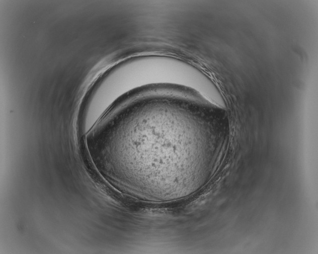 X0000112780296200909031634