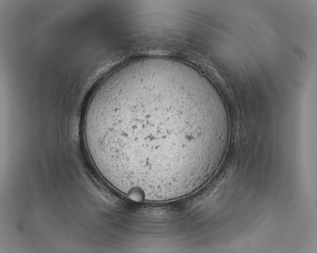 X0000112780299200909031634