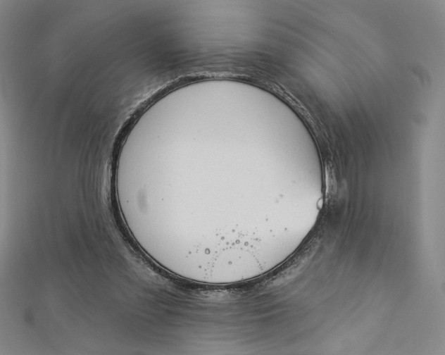 X0000112780301200909031634