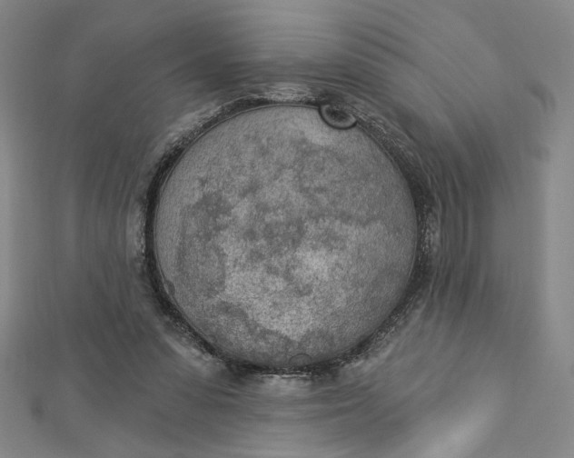 X0000112780303200909031634