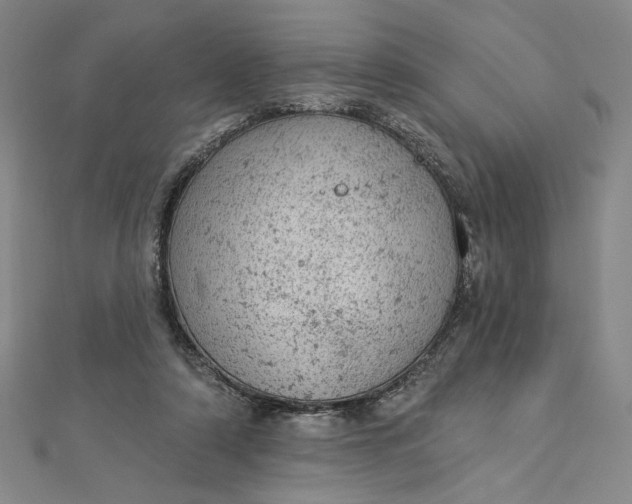 X0000112780306200909031633