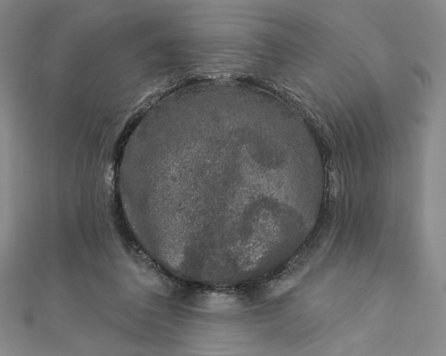 X0000112780308200909031633