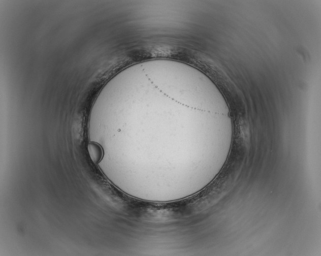 X0000112780311200909031633