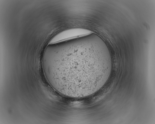 X0000112780312200909031633