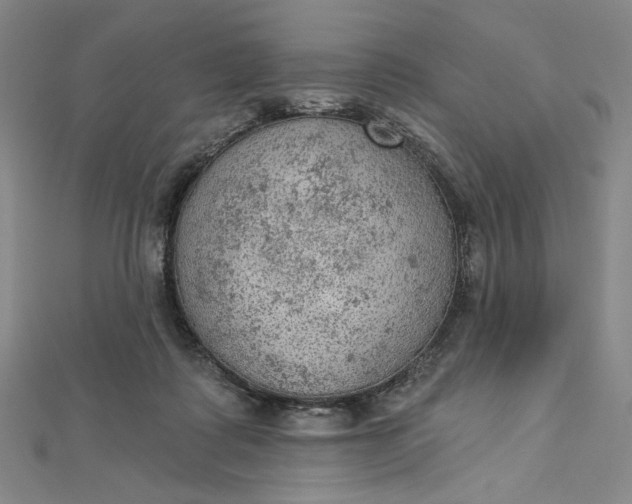 X0000112780315200909031633