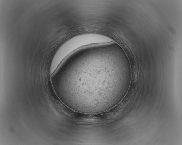 X0000112780316200909031633