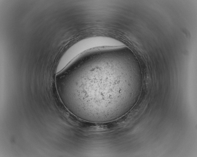 X0000112780320200909031633