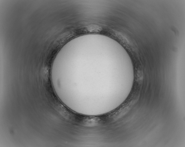 X0000112780321200909031633