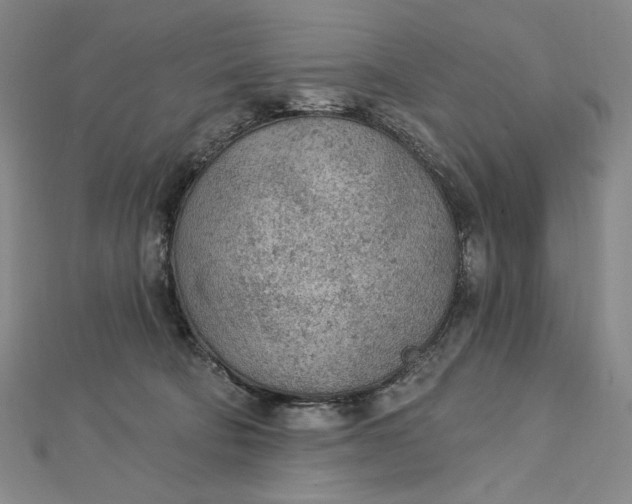 X0000112780322200909031633