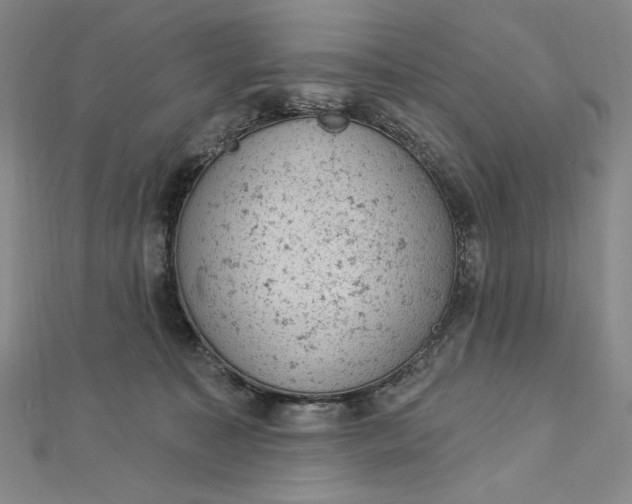 X0000112780323200909031633