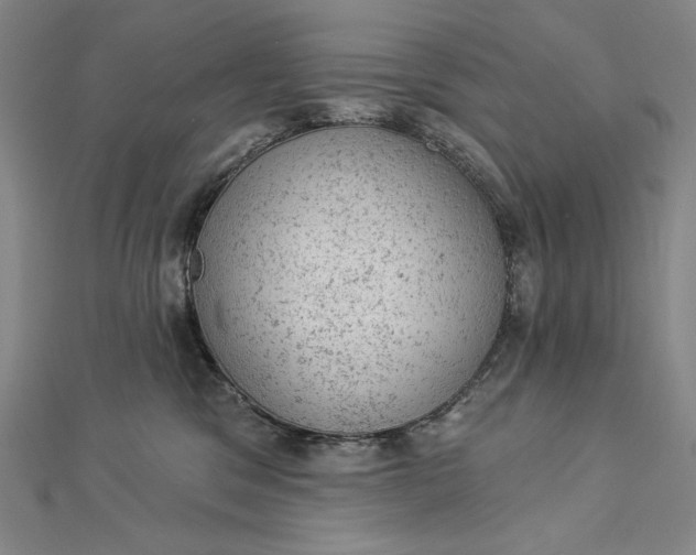 X0000112780329200909031633