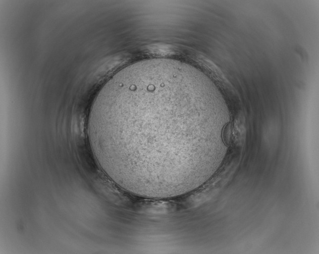 X0000112780330200909031633