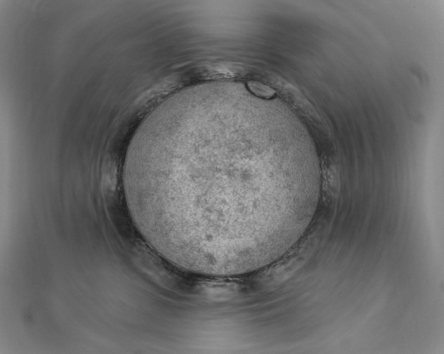 X0000112780331200909031633