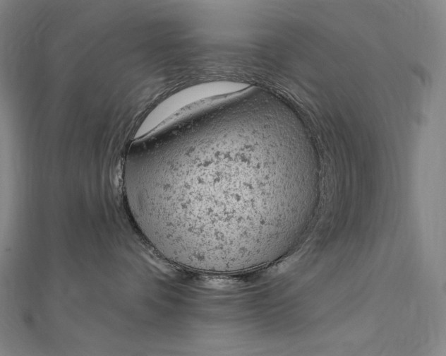 X0000112780336200909031633